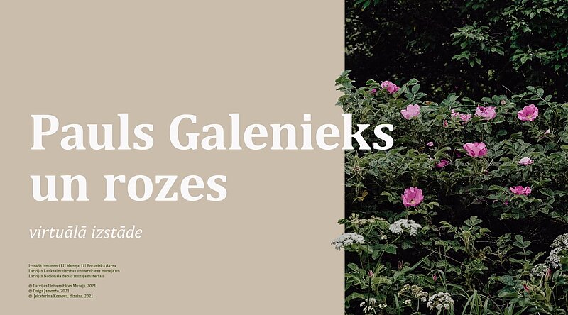 Izstāde “Pauls Galenieks un Rozes”